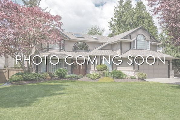 20020 62nd Place Hamel Minnesota for Sale residential - Lynn Heimdahl, Bridge Realty, LLC
